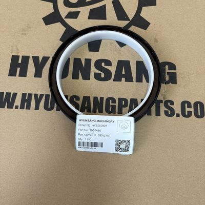Excavator Parts Cummins 3934486 Oil Seal Kit for 6CT Engine